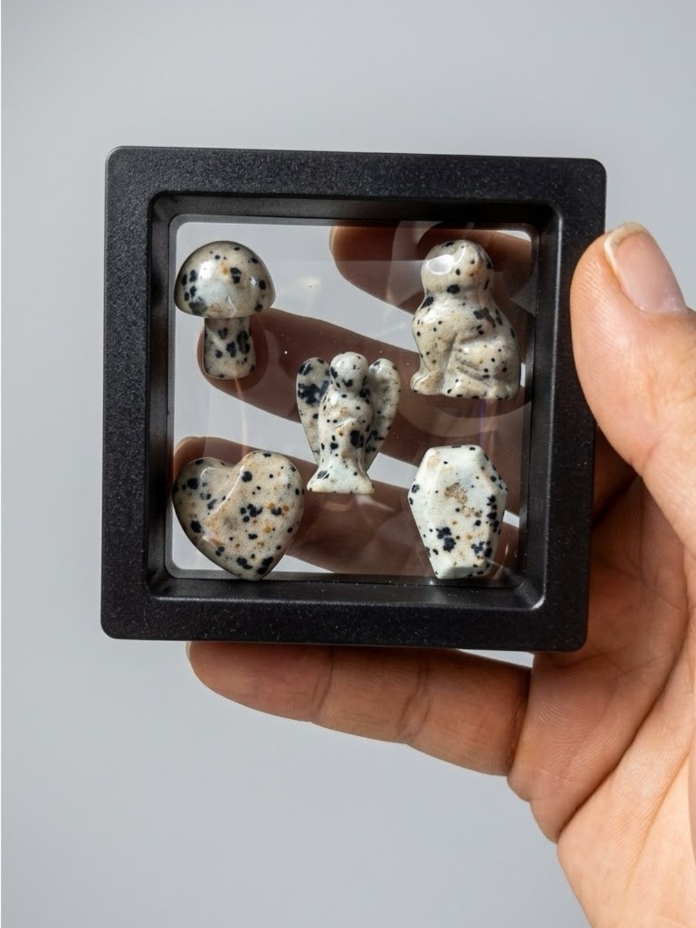 Natural Dalmatian Jasper Small Pet Gem Set - Speckled White/Brown